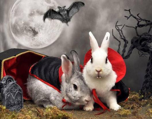 VampireEasterBunnies